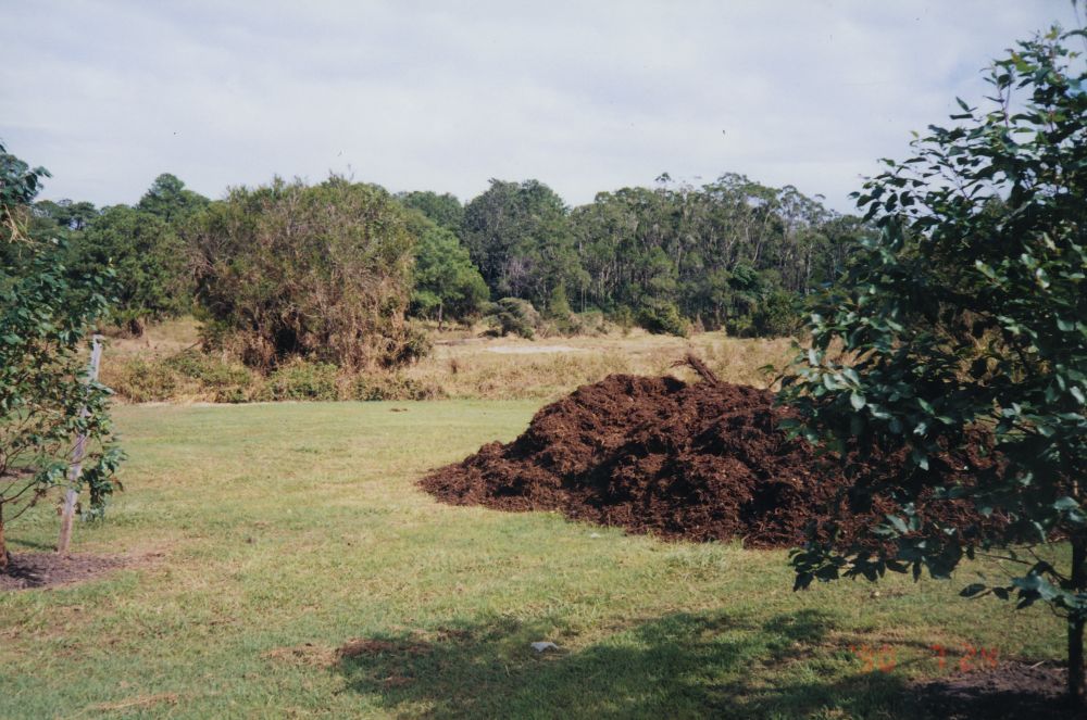 Sweeney Reserve, Petrie, 1996