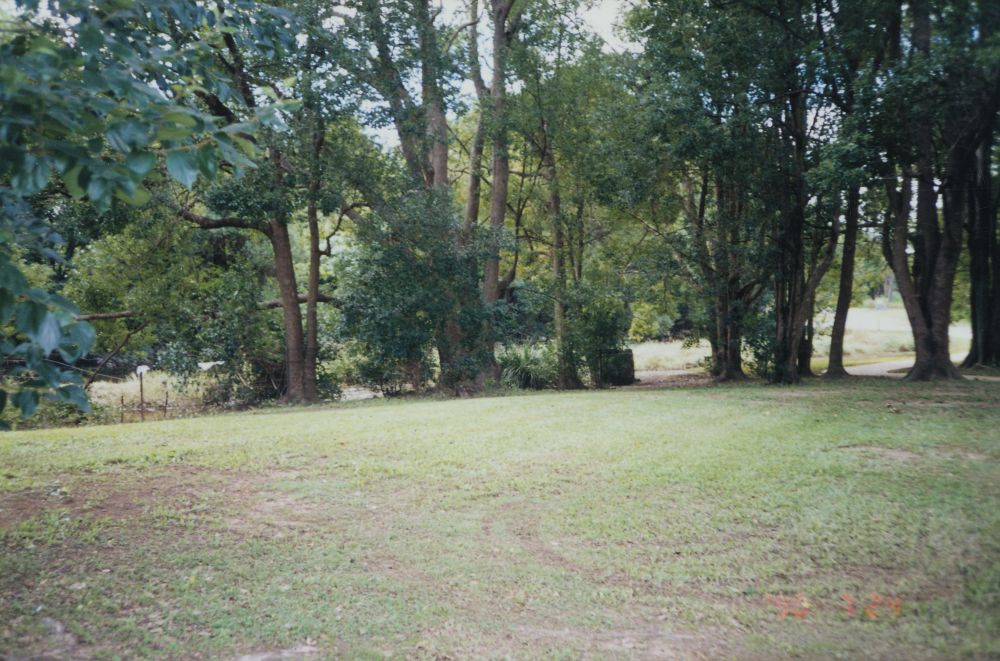 Sweeney Reserve, Petrie, 1996