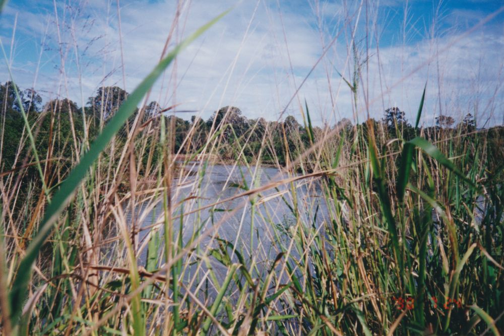 North Pine River, 1996