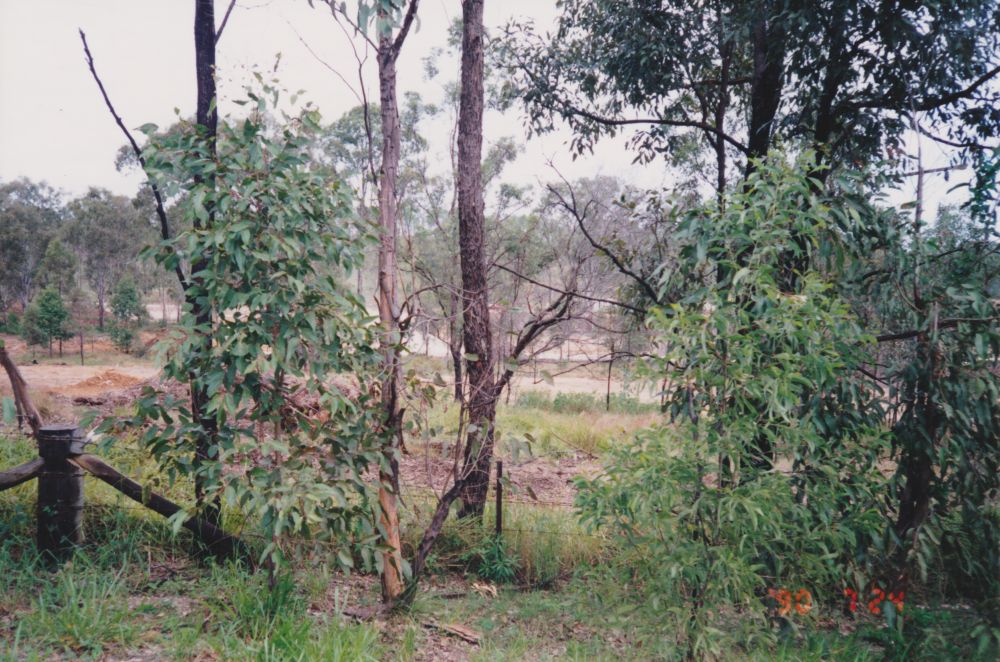 Land development near Youngs Crossing Road, 1996