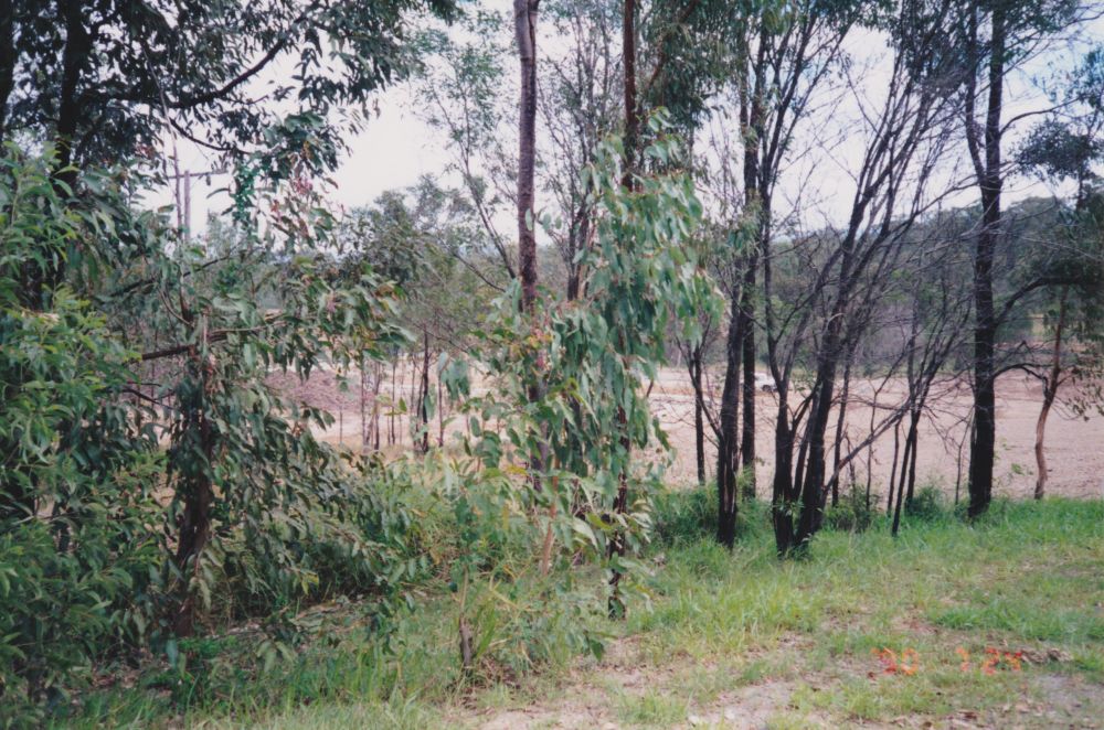 Land development near Youngs Crossing Road, 1996