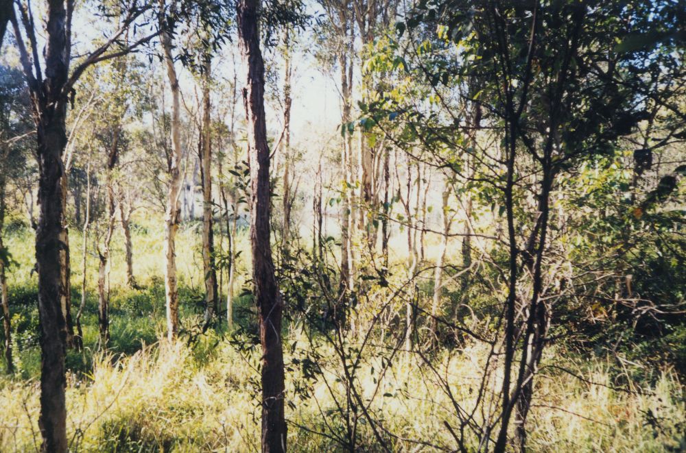 Waterholes at Murrumba Downs, 1996
