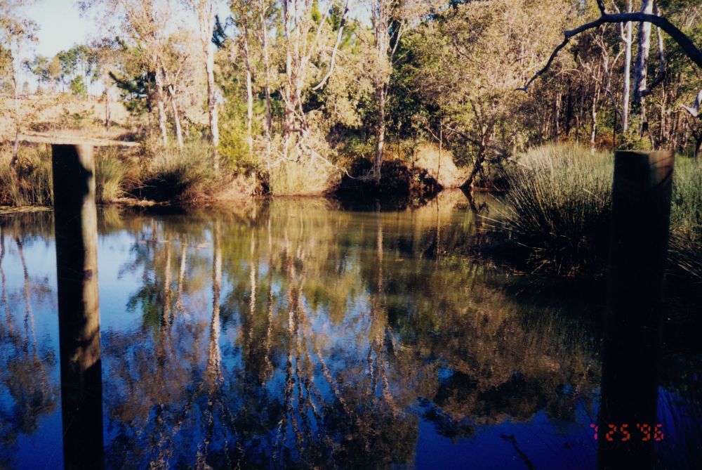 Dam at Murrumba Downs, 1996