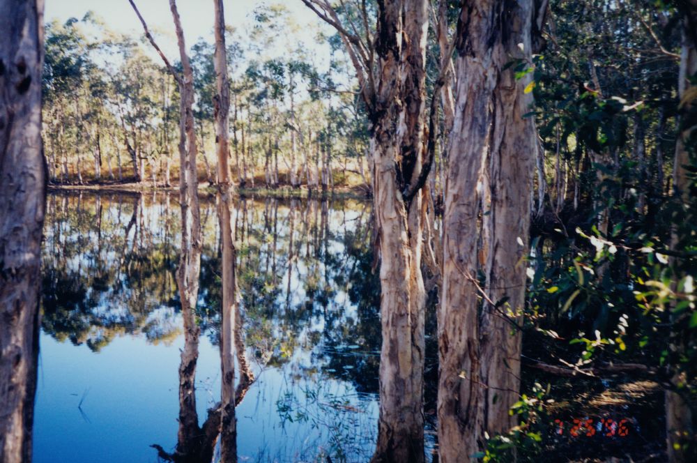 Dam at Murrumba Downs, 1996