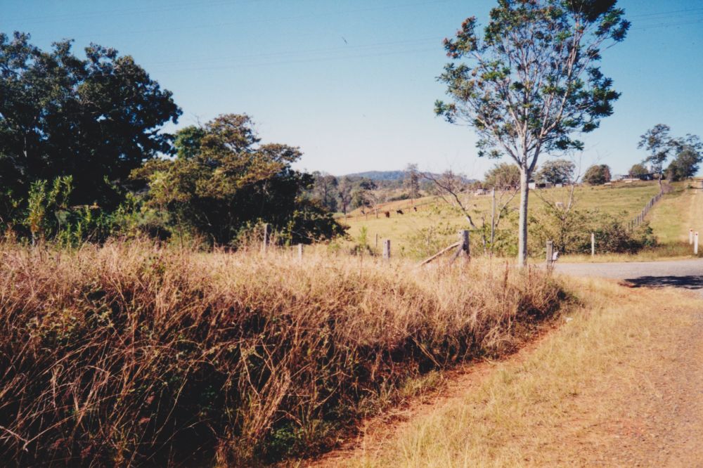 Site of Lacey's Creek Creamery, 1996