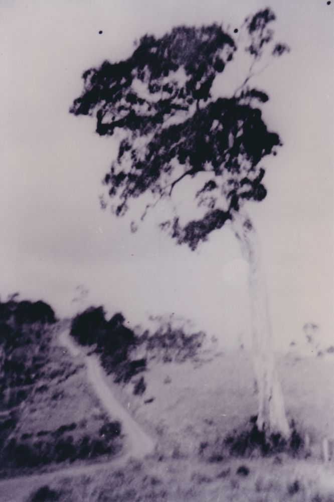 Road going to Ocean View