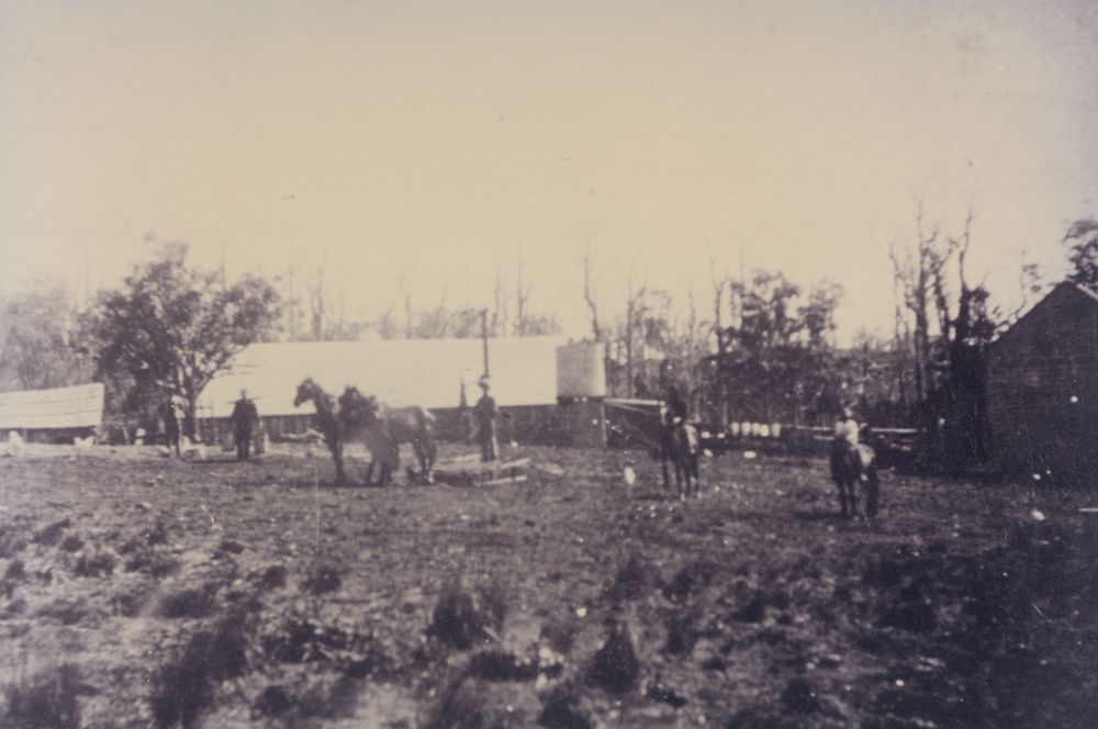 Workers and horses on a farm