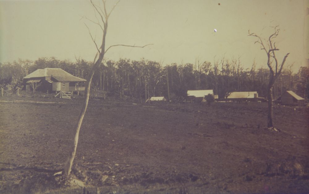 Evans family dairy, Ocean View