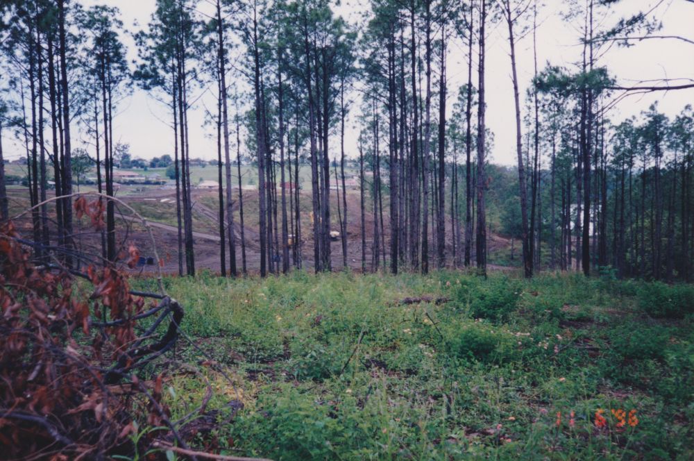 Petrie on Pine Estate, Dayboro Road Petrie, 1996