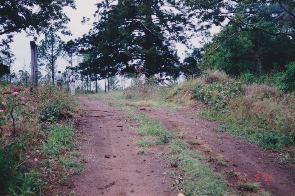 Petrie on Pine Estate, Dayboro Road Petrie, 1996