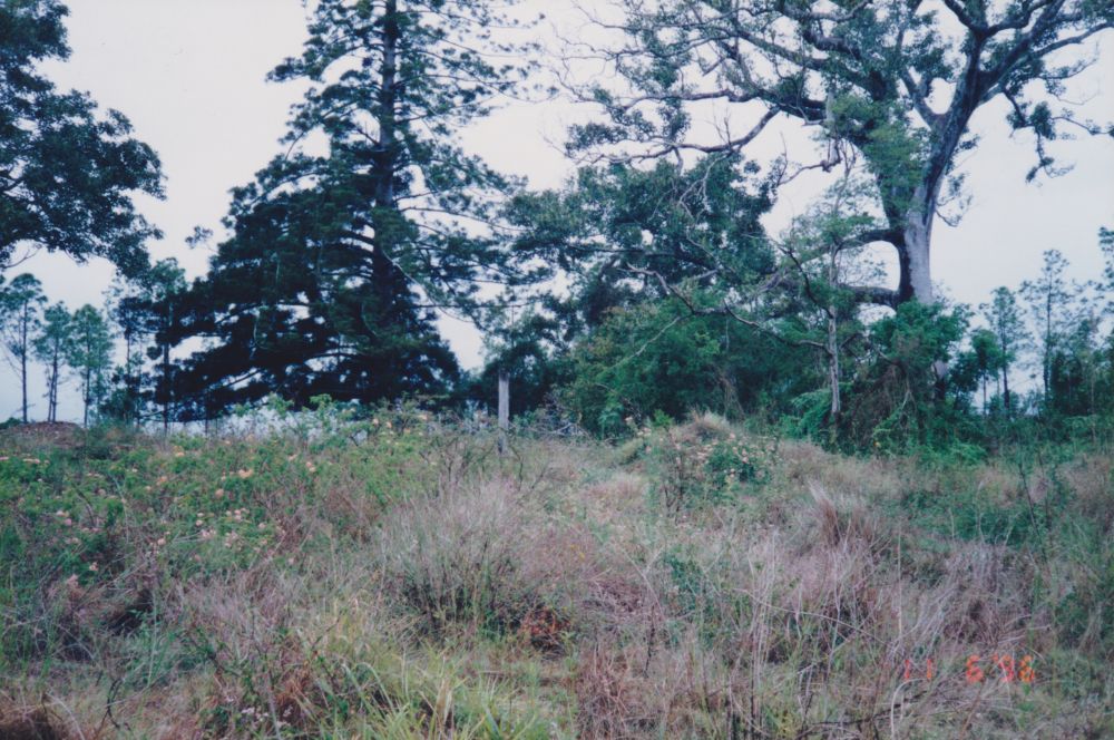 Petrie on Pine Estate, Dayboro Road Petrie, 1996