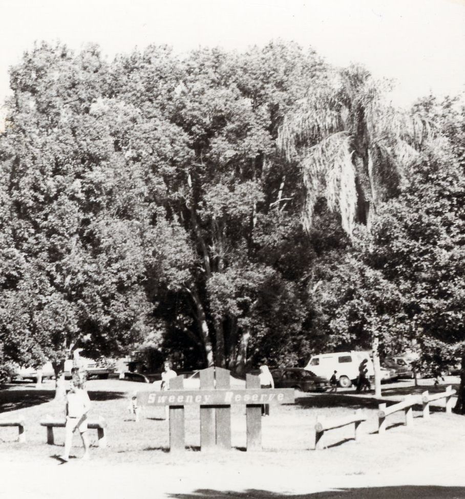 Sweeney Reserve, Petrie, ca. 1980s