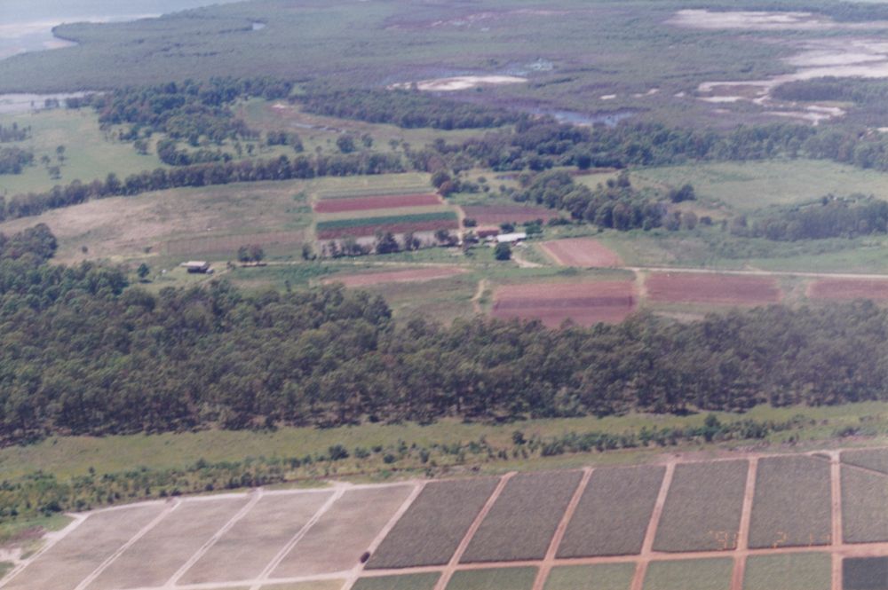 Aerial view of Griffin, 1996