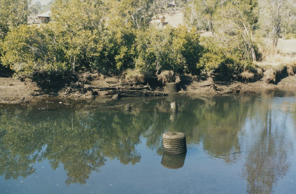 North Pine River from Sweeney Reserve, Petrie, ca. 1996
