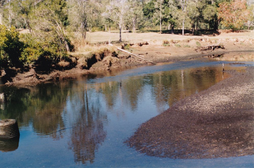 North Pine River from Sweeney Reserve, Petrie, ca. 1996