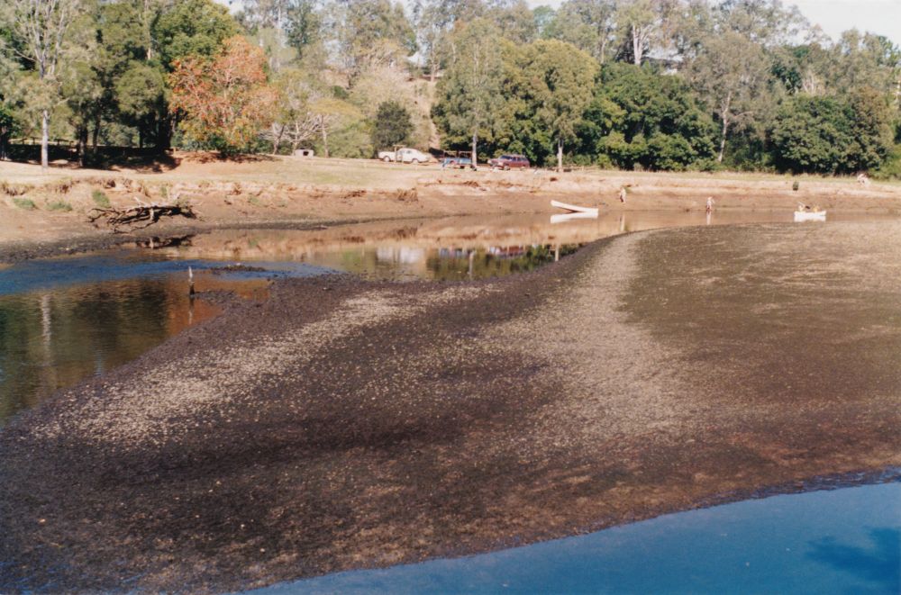 North Pine River from Sweeney Reserve, Petrie, ca. 1996