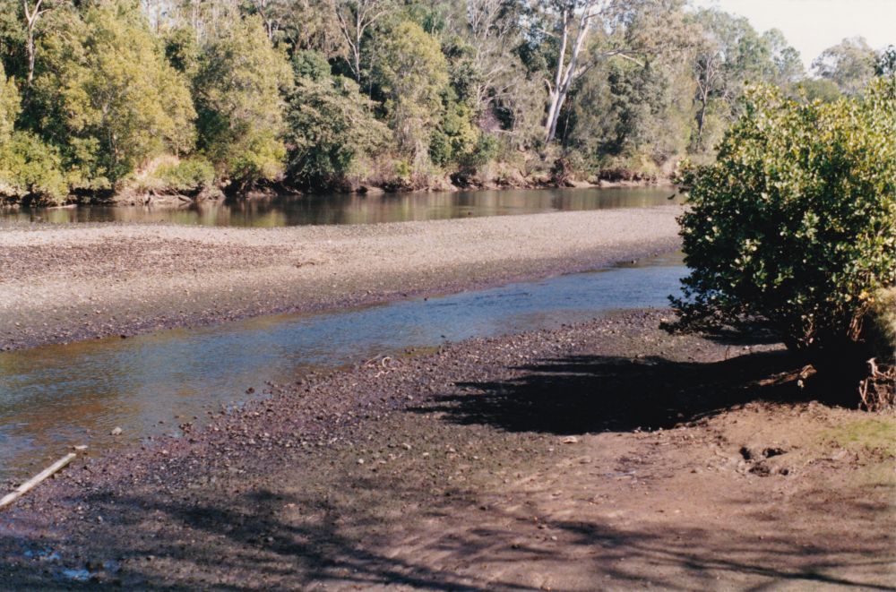 North Pine River from Sweeney Reserve, Petrie, ca. 1996