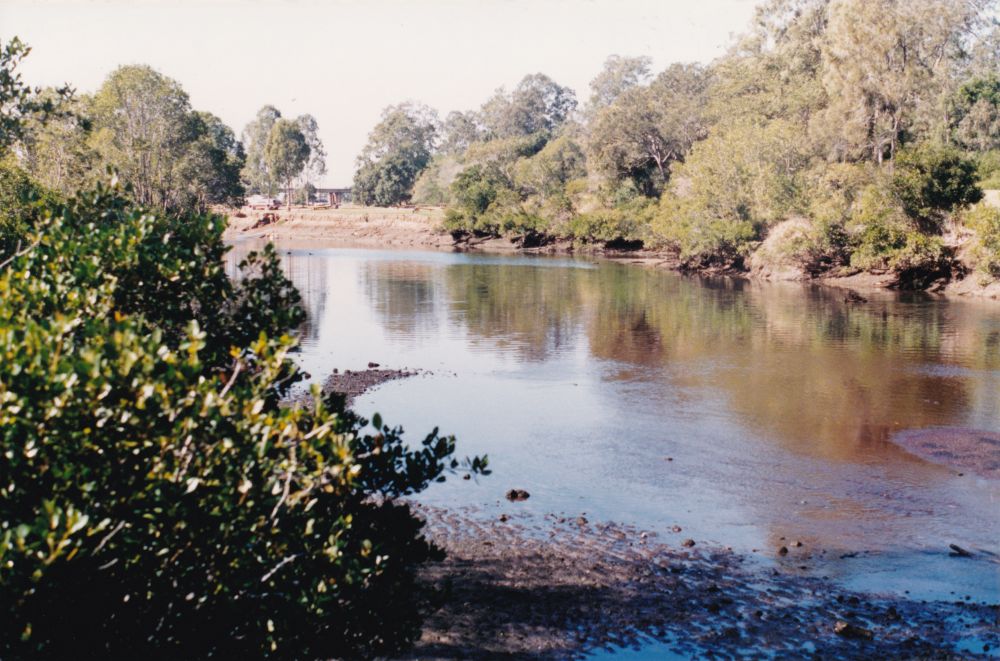 North Pine River from Sweeney Reserve, Petrie, ca. 1996