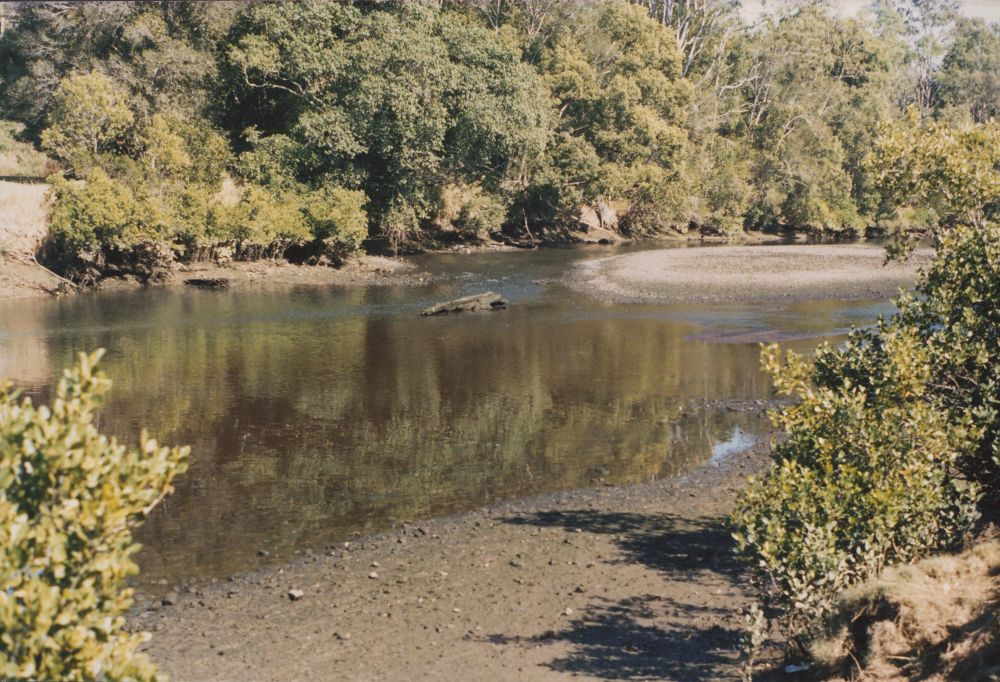 North Pine River from Sweeney Reserve, Petrie, ca. 1996