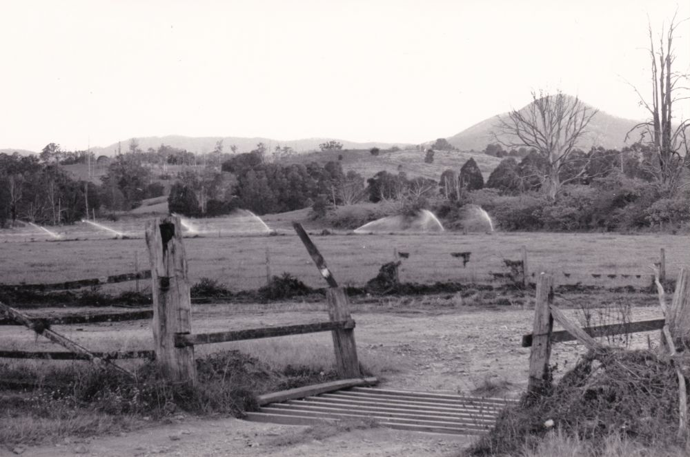 Country scene, Pine Rivers Shire