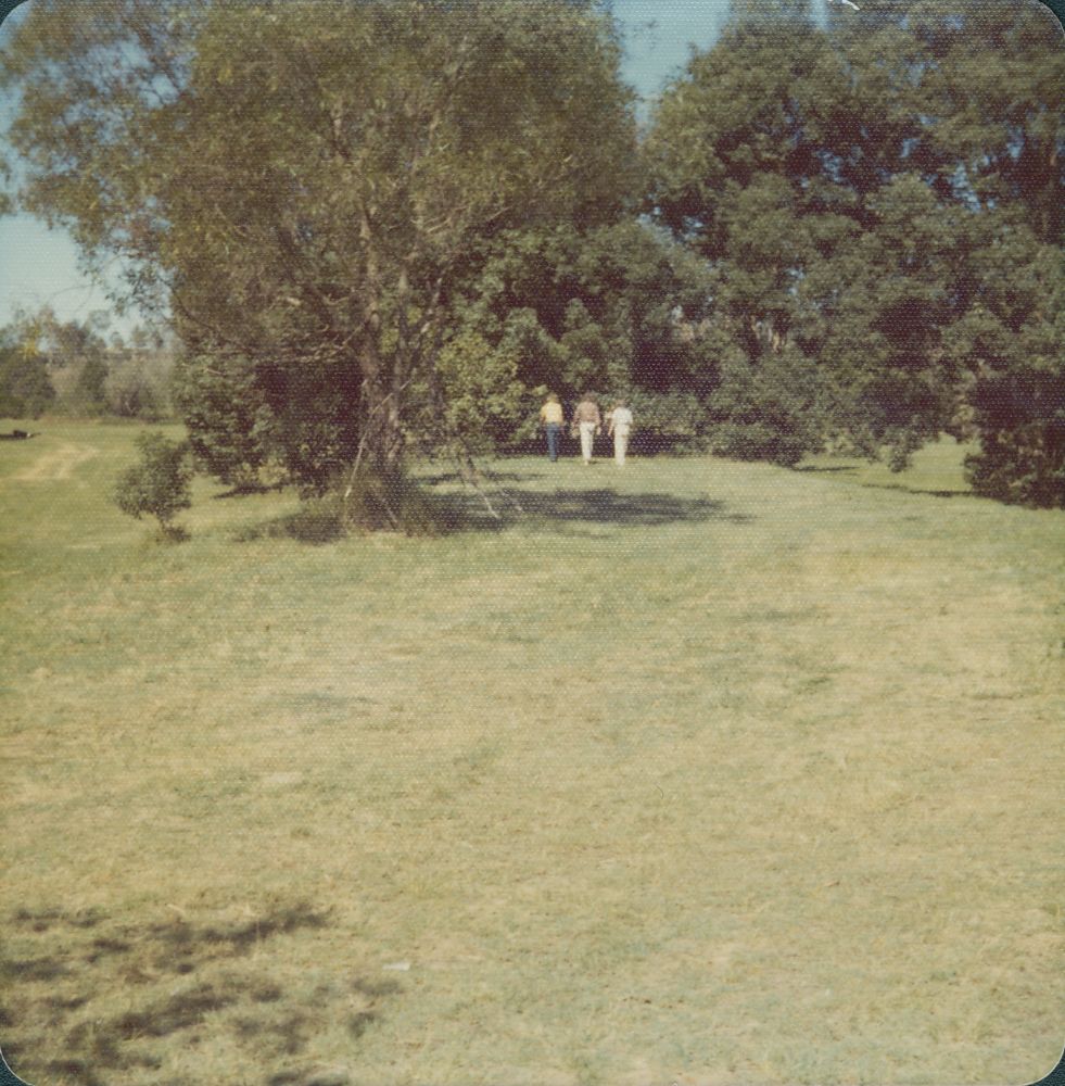 Open land with trees in background