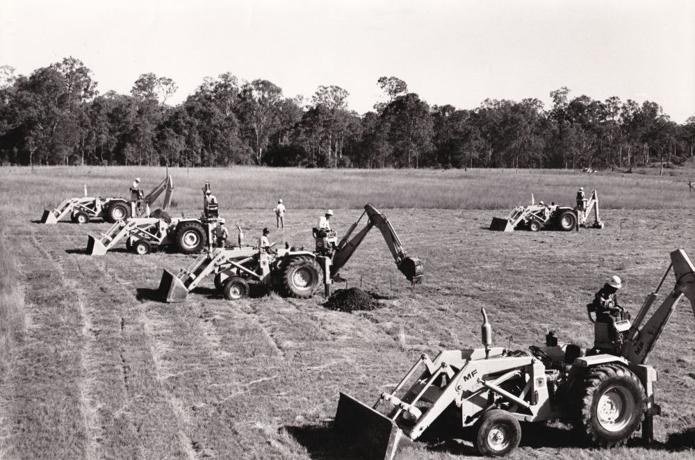 Five backhoes digging holes in a paddock