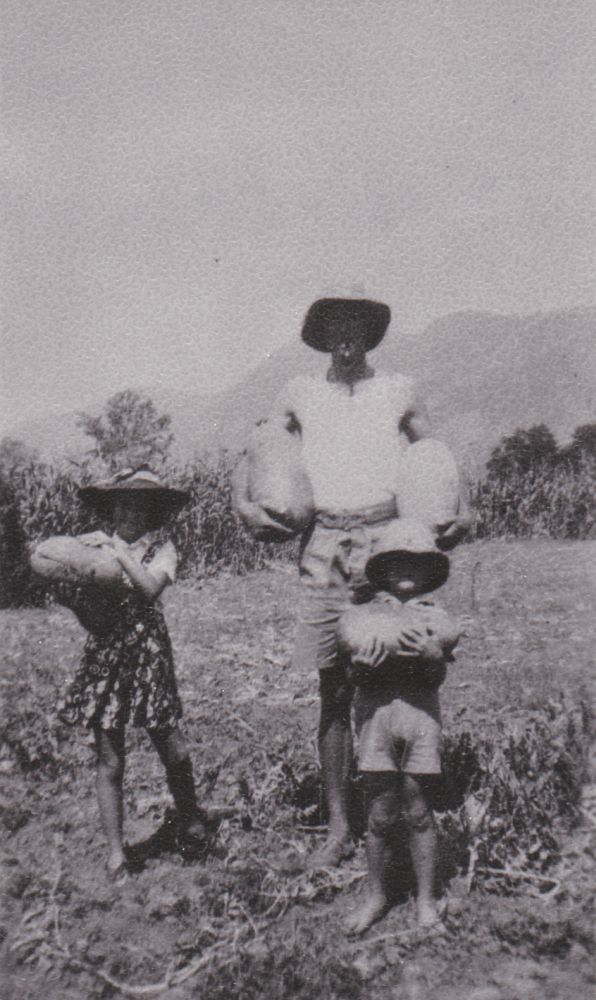 Clem Salisbury with Meryl and Don Clay holding Indian Cream Cobra rockmelons at Samsonvale