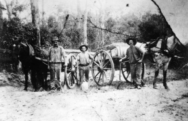 Three men standing with two horsedrawn carts