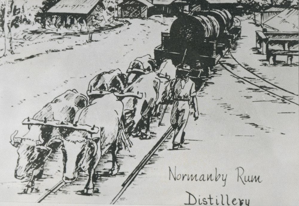 Postcard of a bullock team transporting a tanker for Normanby Rum Distillery, 1974