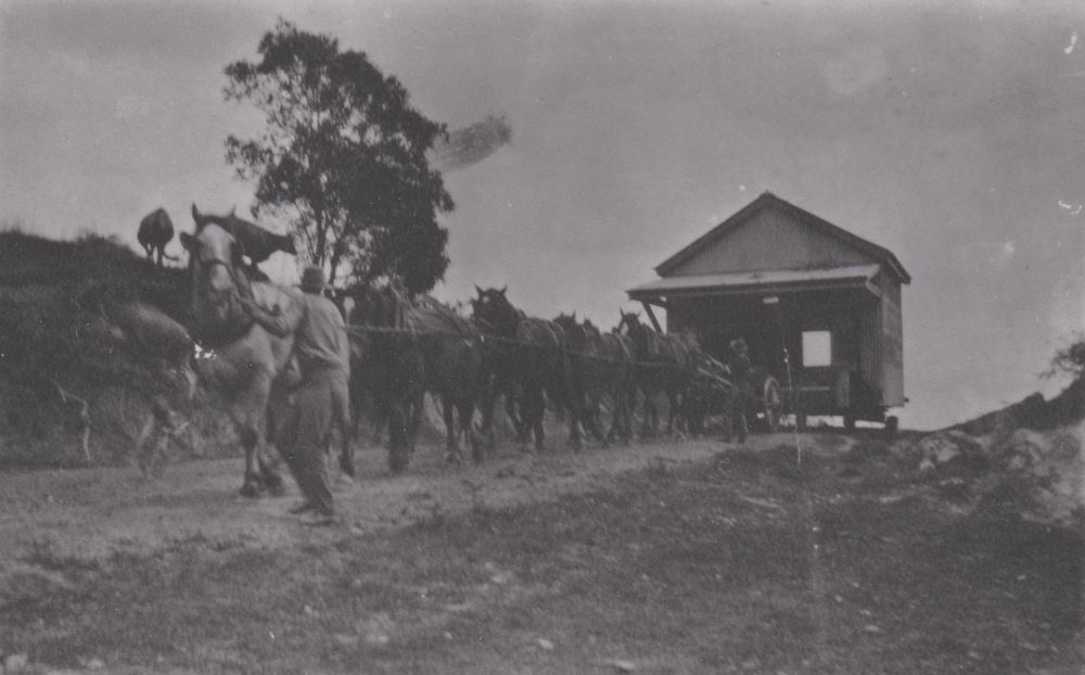 Horse team moving a shop from Bald Hills to Redcliffe, ca. 1920