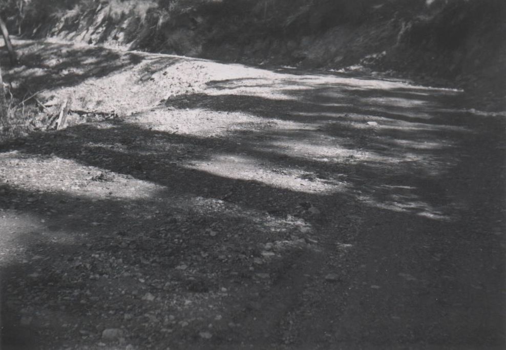 Unsealed road cutting at Laceys Creek