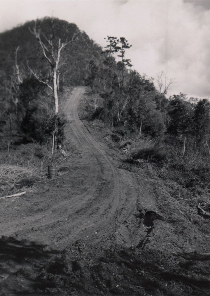 Steep road at Laceys Creek