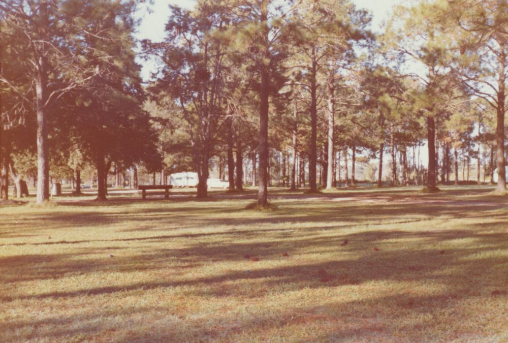 Wyllie Park, 980 Gympie Road Petrie, 1970s