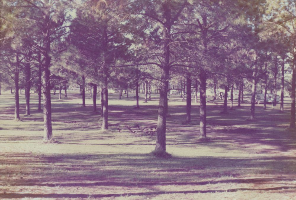 Wyllie Park, 980 Gympie Road Petrie, 1970s