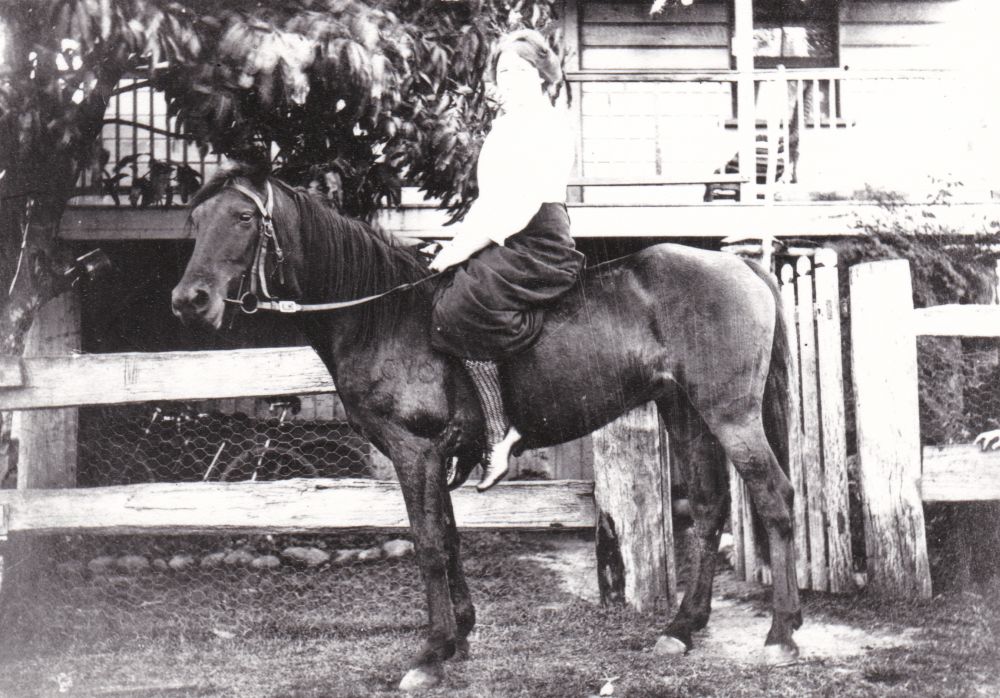 Euphemia McLachlan, 1910