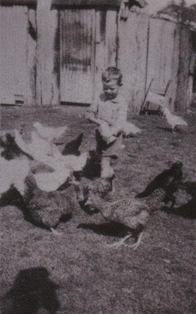 Eddie Hermann feeding chickens, ca. 1920