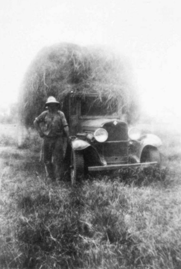 Mr P. Topp with a load of hay, 1930