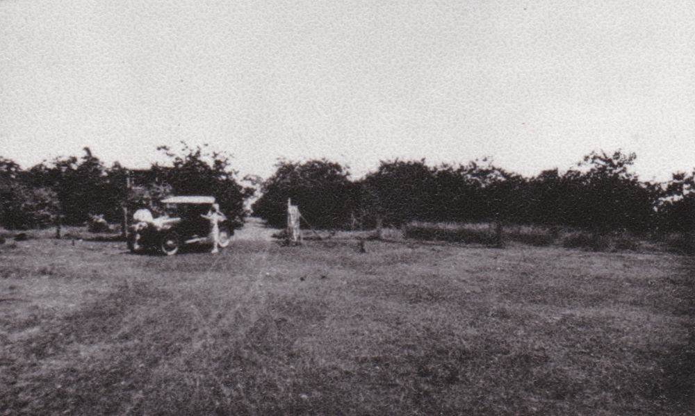 Queensland Acclimatisation Society gardens, Lawnton, 1926