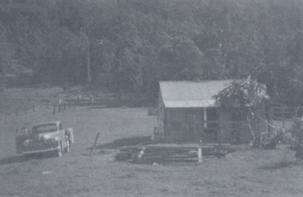 The McCulloch property