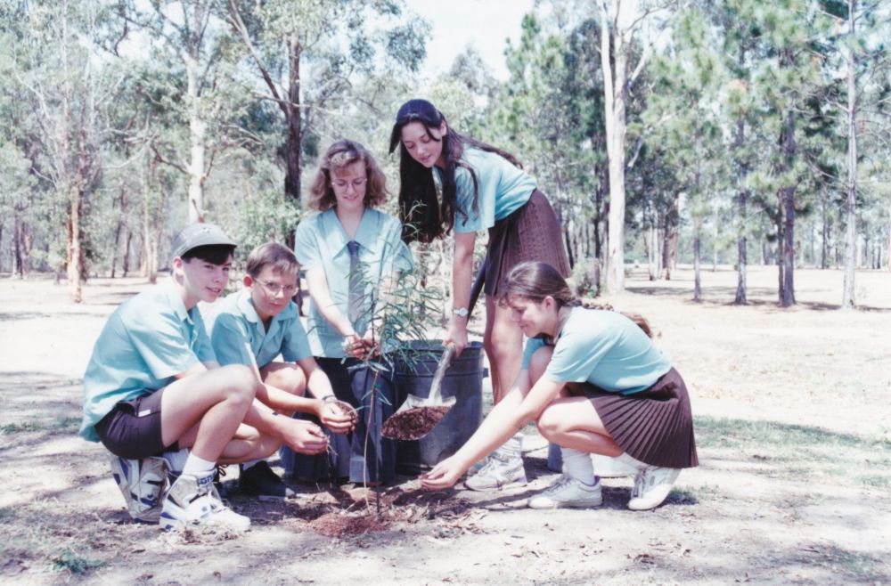 High school students planting a tree