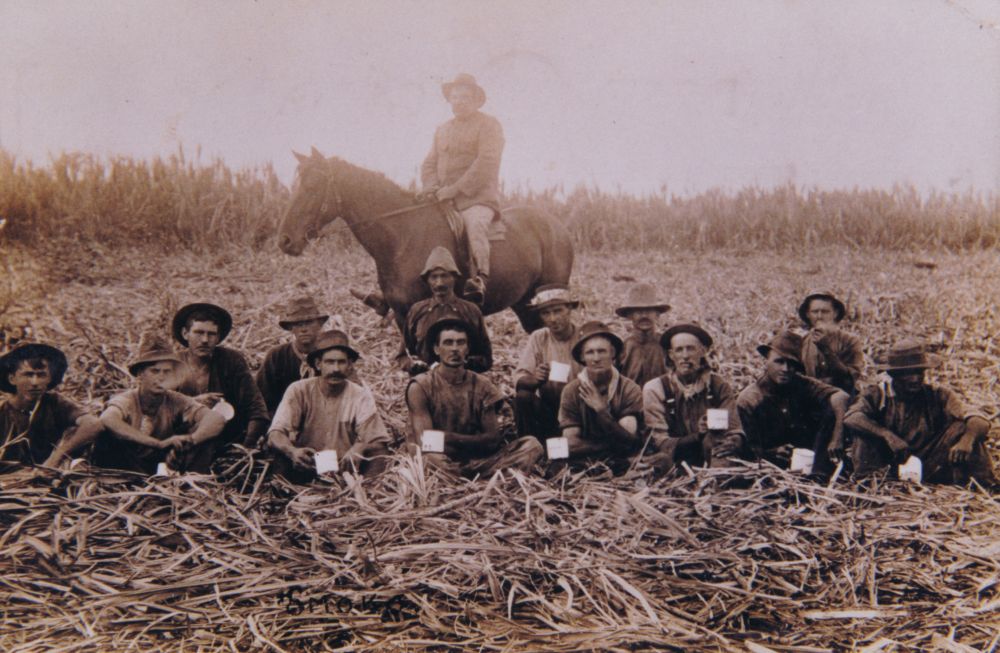 Morning tea on the cane fields, ca. 1910