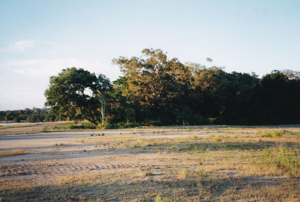 Bell's Scrub, Barbours Road Lawnton, 1998