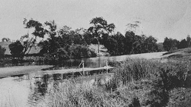 North Pine picnic reserve, early 1900s