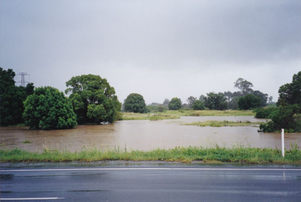 Flooded Bald Hills flats, 1999