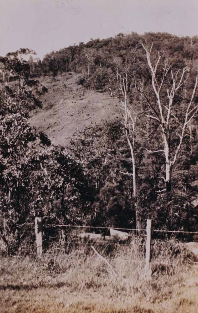 Fry family property at Cedar Creek, late 1920s