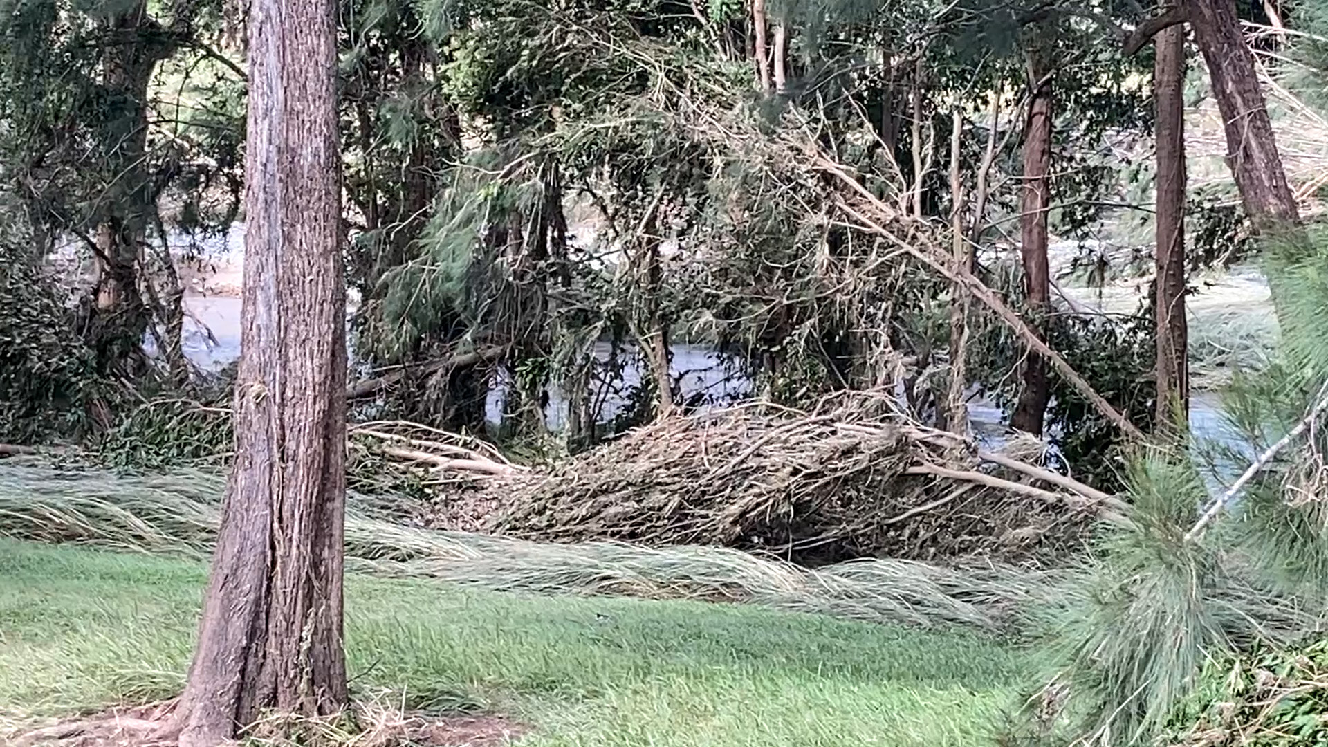 February 2022 Floods - South Pine River, Eatons Hill