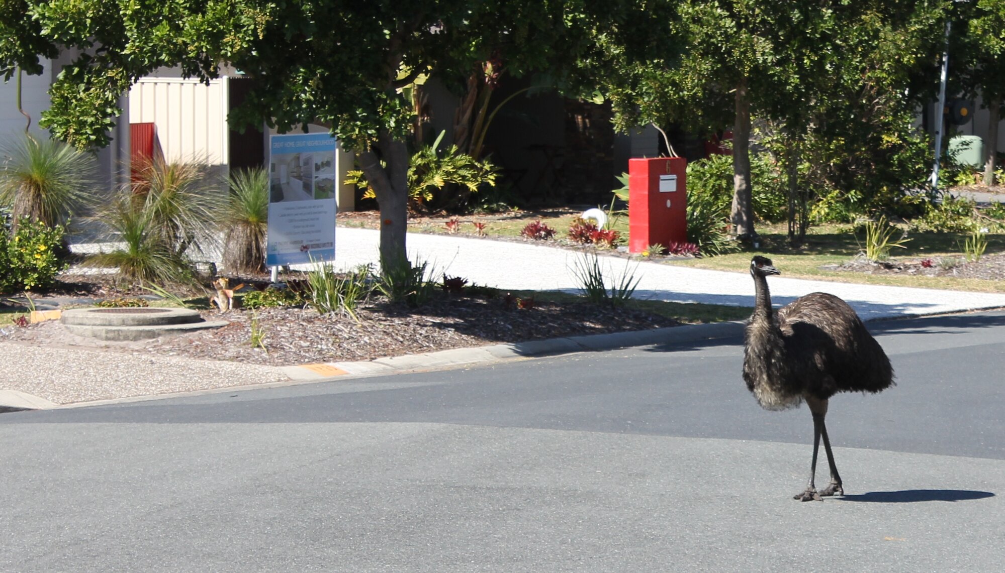 Eric Comes Calling - 2015