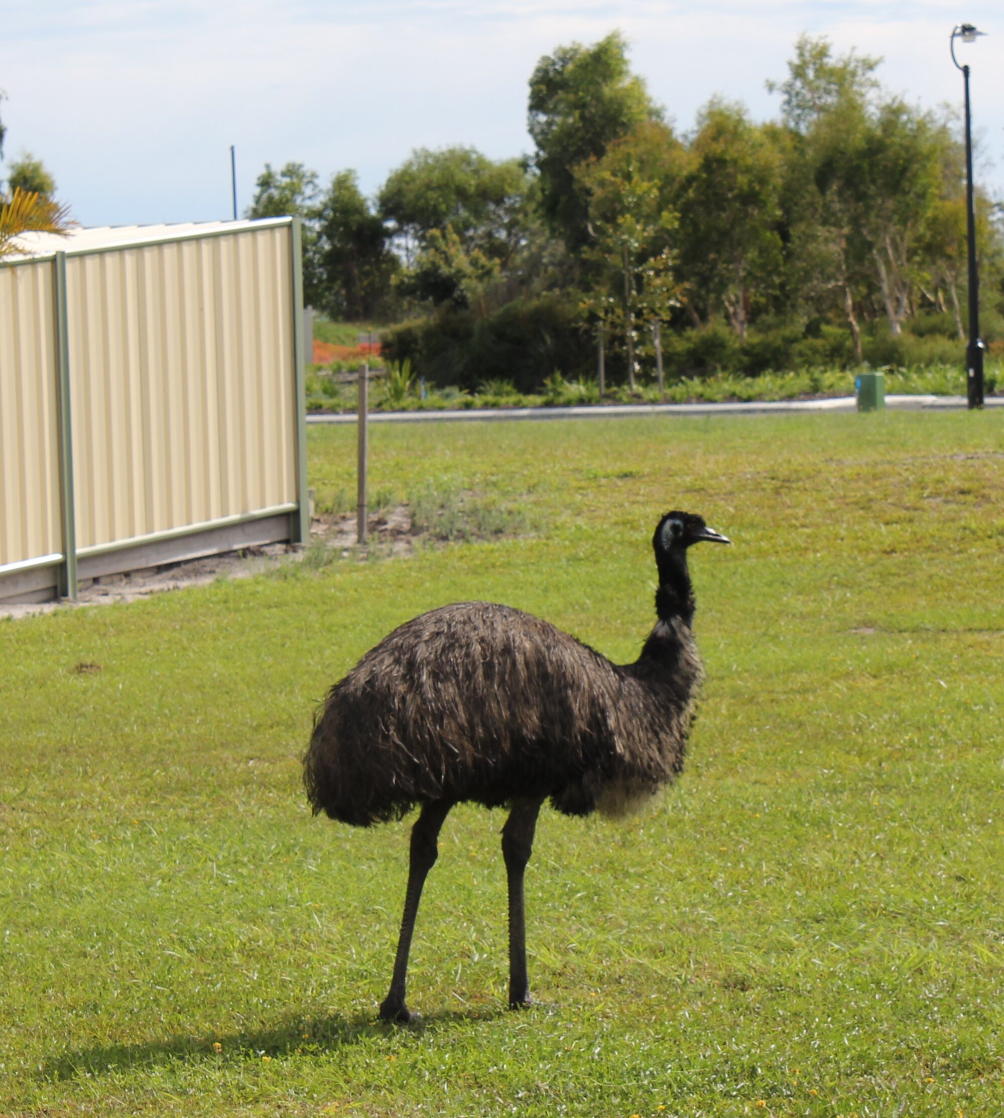 Eric Comes Calling at Pacific Harbour - 2010