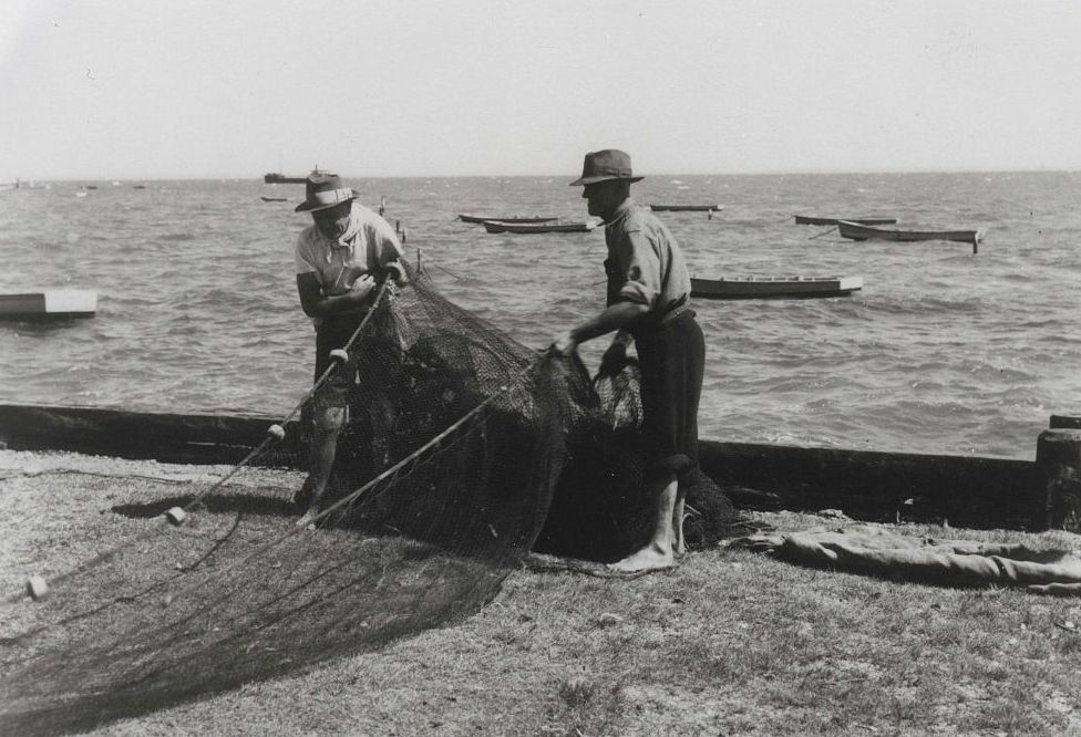 Hauling the nets