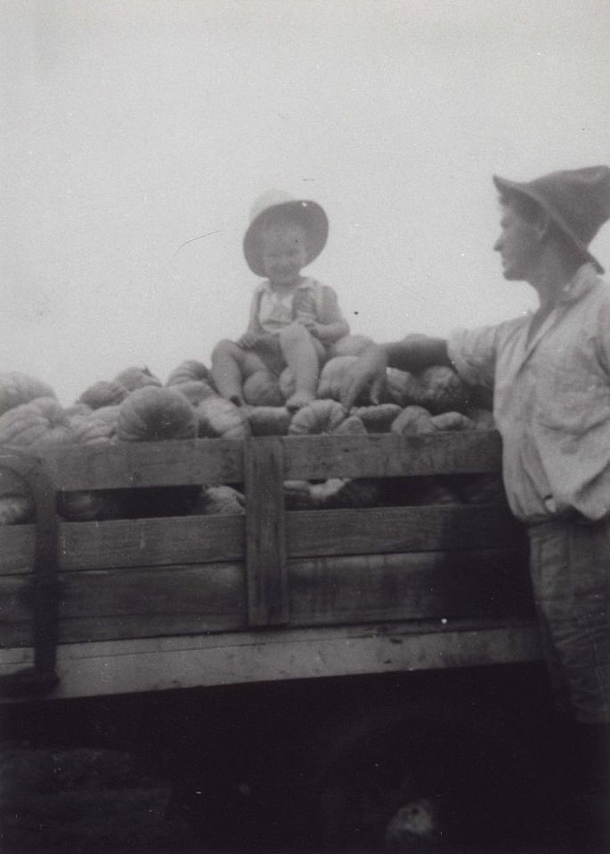 Sitting on the pumpkins